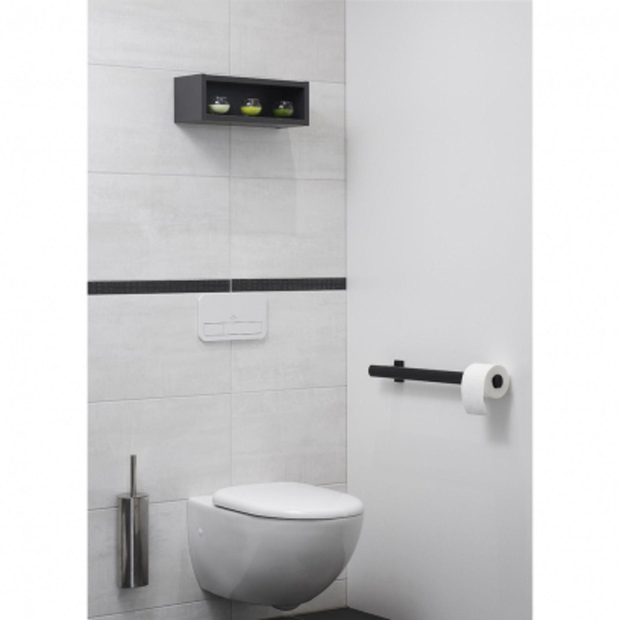 Design By Intent - Pellet, Design By Intent - Pellet Ellipso 24" Black Straight Grab Bar With Toilet Roll Holder